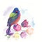 Male Painted Bunting watercolor