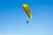 Male paraglider enjoys the freedom flying in clear blue sky above the beach Mount Maunganui.