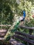 A male peacock sits on a wooden fence in the shade of a tree on a sunny day