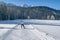 Male person cross-country skiing in beautiful nordic winter landscape in Leogang, Tirol, Alps, Austria