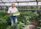 Male professional farmer holding crate with okra in greenhouse