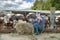 Male rancher in a farm