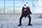 Male robber wearing a panda head mask stealing a briefcase escaping and looking back