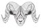 Male rocky mountain bighorn sheep ram standing zentangle stylize