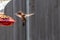 Male Ruby Throat Hummingbird backing off the feeder