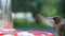 Male Ruby Throated Hummingbird, Archilochus colubris, eating at a red bird feeder. Beautiful closeup clip of bird with string of