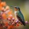 Male Ruby-throated Hummingbird perched on a pink flower