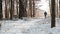 Male runner running winter marathon, winter snowfall