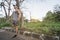 Male runner stretching outdoors at a city park. Standing quadriceps quad stretch. Warming up for a morning run