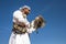 Male saker falcon during a falconry flight show in Dubai, UAE.