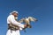 Male saker falcon during a falconry flight show in Dubai, UAE.