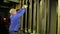 Male scene worker removes load from the lifting mechanism of a theater curtain