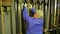 Male scene worker removes load from the lifting mechanism of a theater curtain.