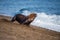 Male sea lion on the beach running away