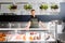 Male seller showing seafood at fish shop fridge