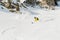 A male skier freerider with a beard descends the backcountry at high speed from the slope