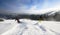 Male skiers freeriding on wide open mountain slope. Extremal skiing down between low fir trees. Panoramic mountain view.