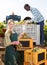 Male and smiling woman vineyard workers inspecting new grapes harvest