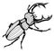 Male stag beetle, Lucanus cervus vector tattoo for T-shirts