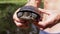 Male, Standing by the River, Holds a Pond Turtle in Hands. Zoom