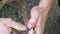 Male strong hands of a fisherman cuts off the head with a knife freshly caught live fish close up view