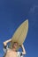 Male surfer carrying surfboard on head