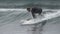Male surfer wearing in wet suit rides wave in Pacific Ocean on Kamchatka Peninsula. Slow motion shot