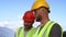 Male technicians discussing data on tablet on solar farm