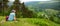 Male tourist exploring the woodlands of Wicklow Mountains National Park. Old pine trees and lush greenery of Glendalough valley,