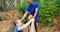 Male trainer assisting fit woman to climb over wooden wall during obstacle course 4k