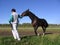 male trainer holding a sports horse in the bridle engaged in a demonstration of the exterior