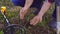 Male treasure hunter with metal revolutionary digs up coins