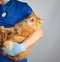 male vet in blue uniform and gloves holding an adult ginger cat