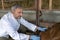 Male Veterinarian Examining a Goat With Stethoscope at Goat Farm