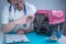 Male veterinarian takes notes on health check of gray Scottish Straight kitten in animal carrier on examination table in