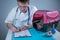 Male veterinarian takes notes on health check of gray Scottish Straight kitten in animal carrier on examination table in