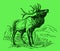 Male wapiti or elk, cervus canadensis standing and roaring in a mountainous landscape, on a green background