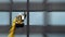 Male window cleaner cleaning glass windows on modern building high in the air on a lift platform. Worker polishing glass high in