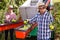 Male worker gathering apples using sorting machine