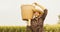 Male worker holding a large basket collecting corn crops in the garden