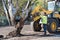 Male worker operates tree transplanter heavy machine. Landscaping, seasonal agricultural engineering, large trees landing machines