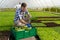 Male worker squatting, stacking crops in a box while in a greenhouse