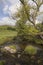 Malham Beck at Malham Cove