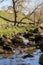 Malham Beck, Malham Cove, Yorkshire.