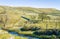 Malham Beck surrounded by fields