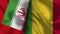 Mali and Iran Realistic Flag â€“ Fabric Texture Illustration