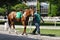 Malibu Action in the Belmont Park Paddock