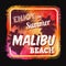 Malibu beach vector graphic for t shirt or poster background