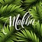 Malibu California handwriting lettering on the palm leaf tropical background. Vector illustration