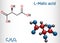 Malic acid C4H6O5 molecule, is dicarboxylic acid. Structural chemical formula and molecule model